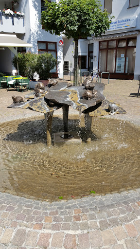 Frosch Brunnen 