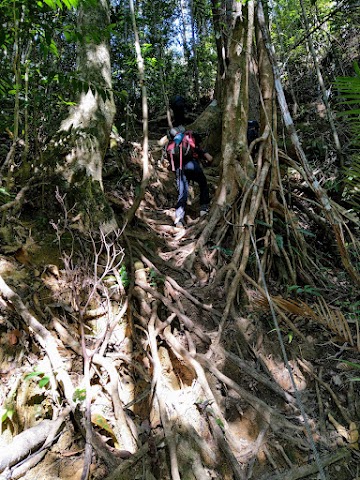 Mount Tahan via Merapoh Hiking