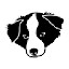 Border Collie Wallpapers New Tab Theme