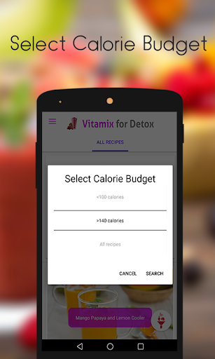 Vitamix Smoothie Recipes For Detox Diet