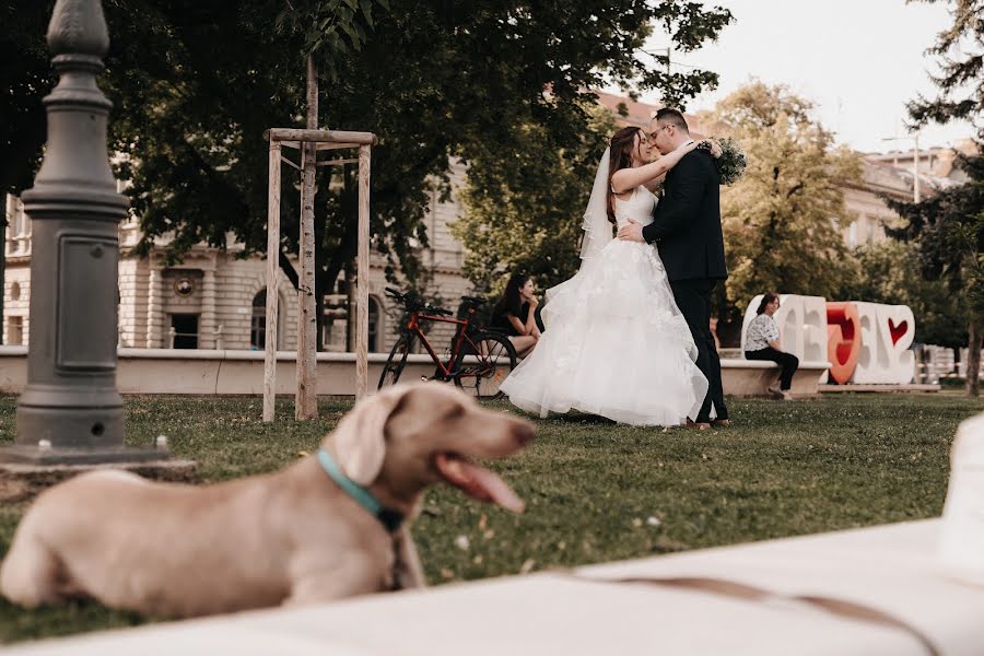 Photographe de mariage Tímár Bence (timarbencephoto). Photo du 28 janvier