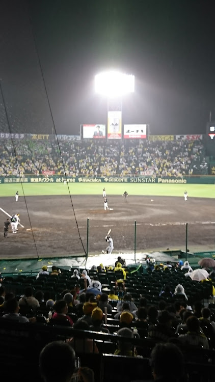 ふくちゃんまんさんが投稿した野球に関するカスタム事例の投稿画像1枚目