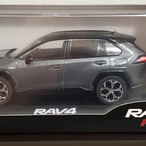 RAV4 MXAA54