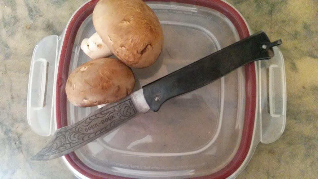 pcHxJjDhqW53E_ZL3Ym0BClzXEEiPfhHql6cF78P2pk=w1026-h577