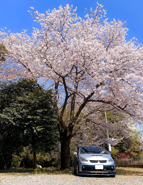 の投稿画像3枚目