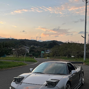 NSX NA1