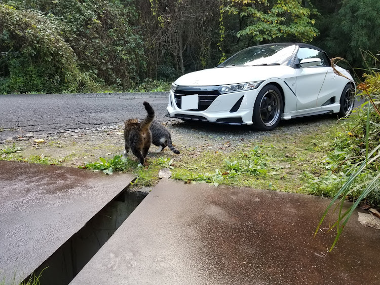 S660の猫に関するカスタム事例の投稿画像3枚目