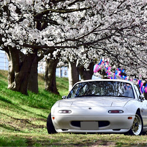 ロードスター NA8C