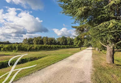 Vineyard with outbuildings 4