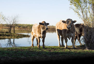 Corps de ferme avec piscine 4