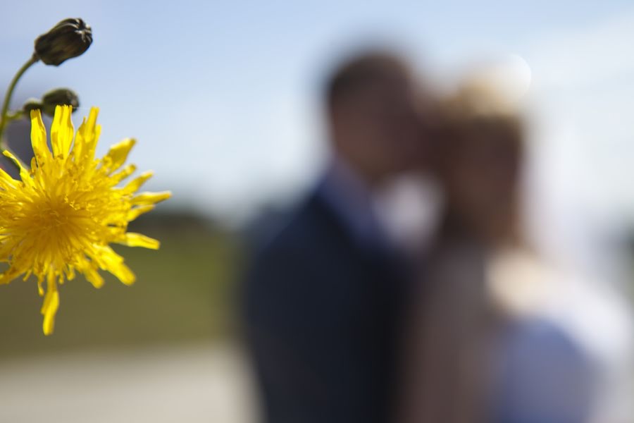 Photographe de mariage Lesya Di (lesyadi). Photo du 12 octobre 2014