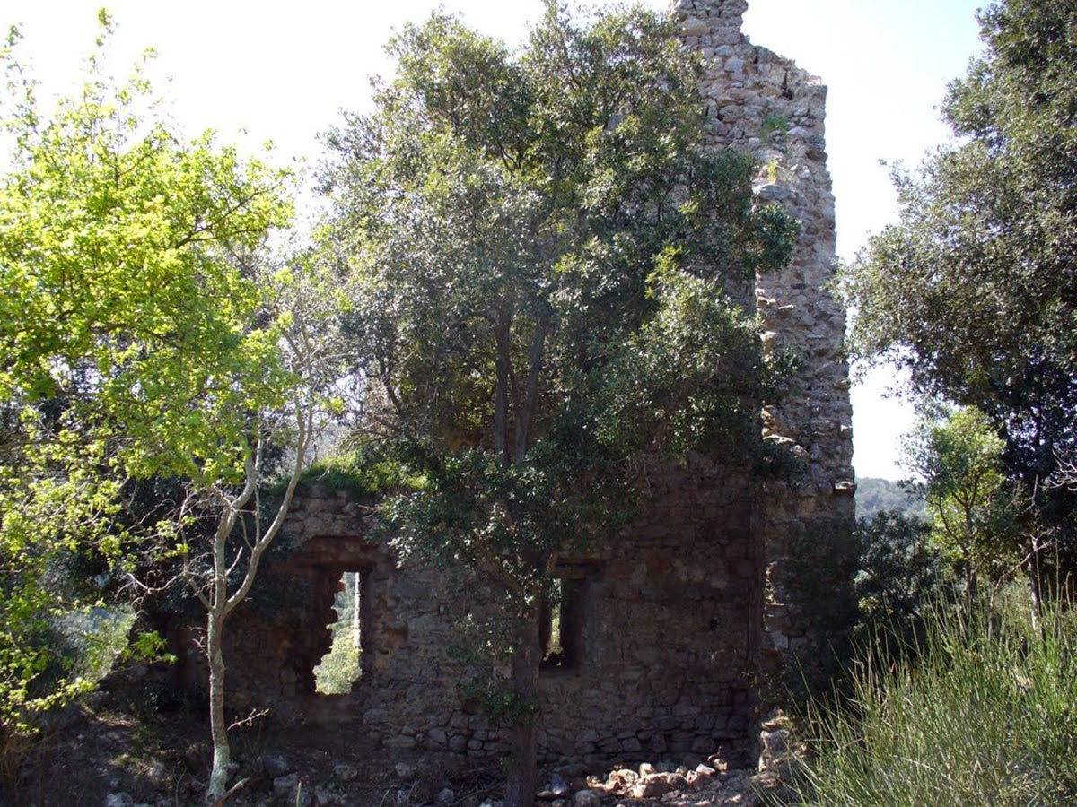 Torre della Bella Marsilia, Parco Naturale della Maremma