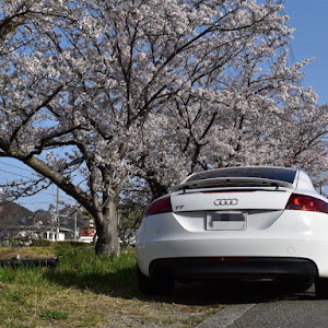 TT クーペ