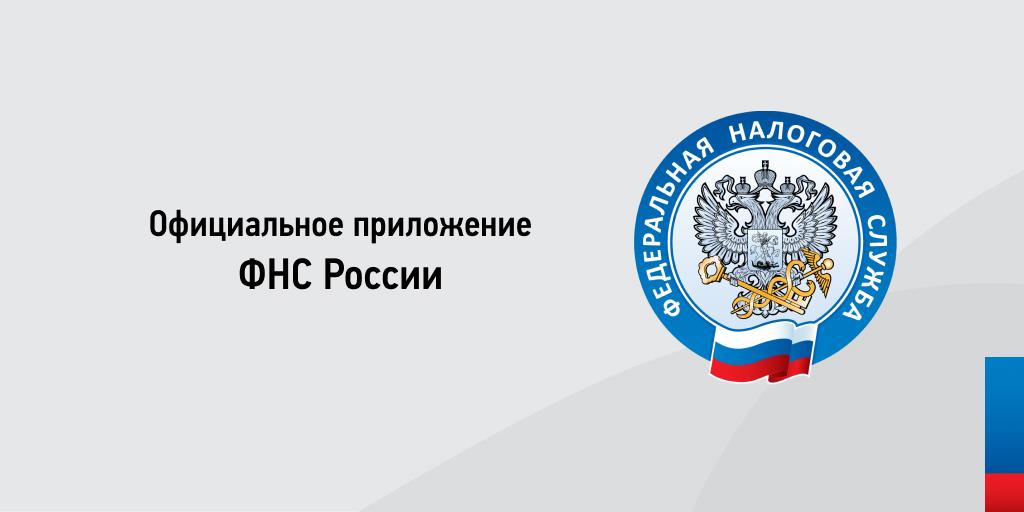 Фнс россии приложение андроид. Налоги фл. ФНС приложение. Приложение налоги ФНС. ФНС логотип.