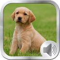 Dog Sounds Ringtones