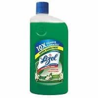 Lizol Disinfectant ( Jasmine ) - 500 ml