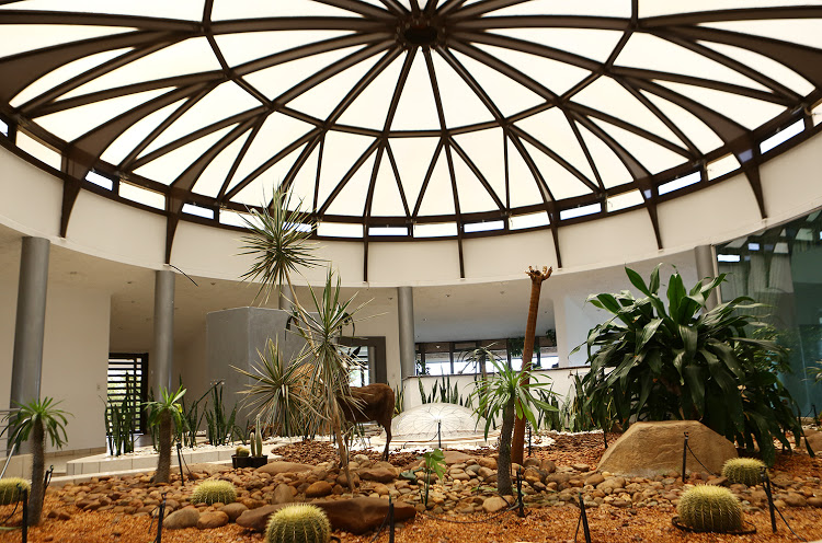 The atrium is fitted with sprinklers and is also fed with rainwater. The home is climate-controlled so it doesn't mist up in the heat.