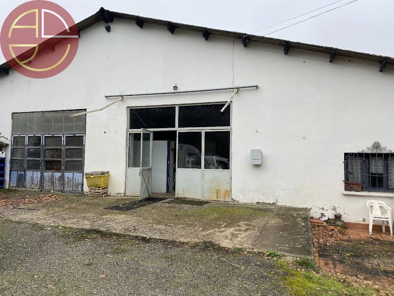 Vente locaux professionnels 1 pièce 400 m² à Montpitol (31380), 224 700 €