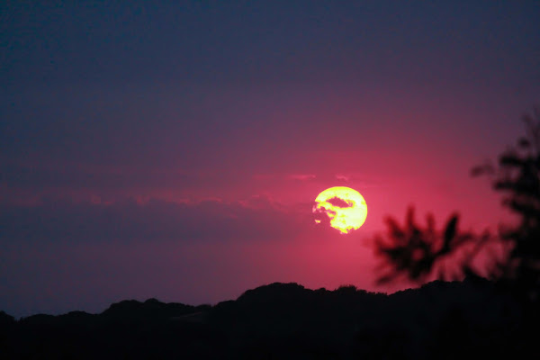 SARDEGNA di DARYAA