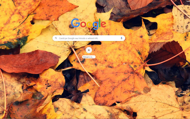 Autumn Theme chrome extension