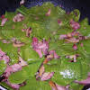 Thumbnail For Leaf-shaped Spinach Pasta With Mushrooms And Ham.  To Make This Shape, Form 1/2 Balls And Roll Flat.