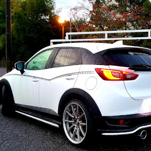 CX-3 DKEFW