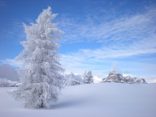 White Tree di AjejeBrazorf