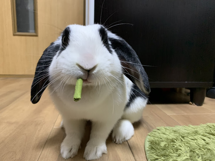 クラウンマジェスタのSHIN(じぃじ)さんが投稿したカスタム事例の投稿画像5枚目