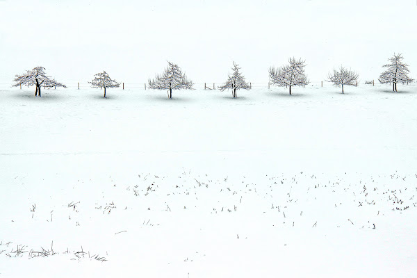  Winter beach di LuXi