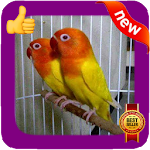 Cover Image of Baixar Love Bird Photo Frames 1.0 APK