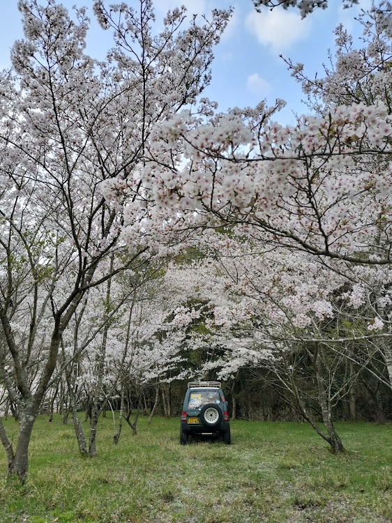 パジェロミニのパジェロミニのある生活・桜ばかりですみません😅・愛媛散歩に関するカスタム事例の投稿画像6枚目
