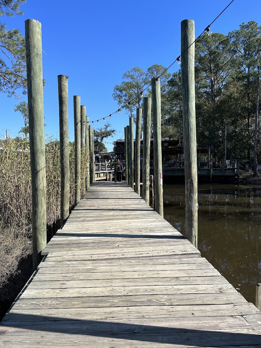 Boardwalk over the bayou