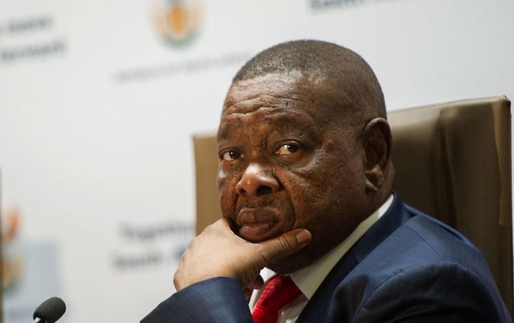 Higher education minister Blade Nzimande.