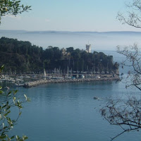 Trieste scomparsa di 