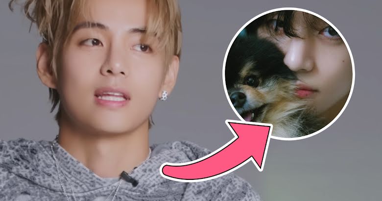 BTS's V hilariously confesses that the role of Yeontan in the