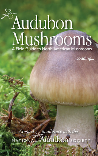 Audubon Mushrooms