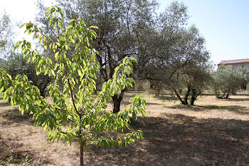 terrain à Aups (83)