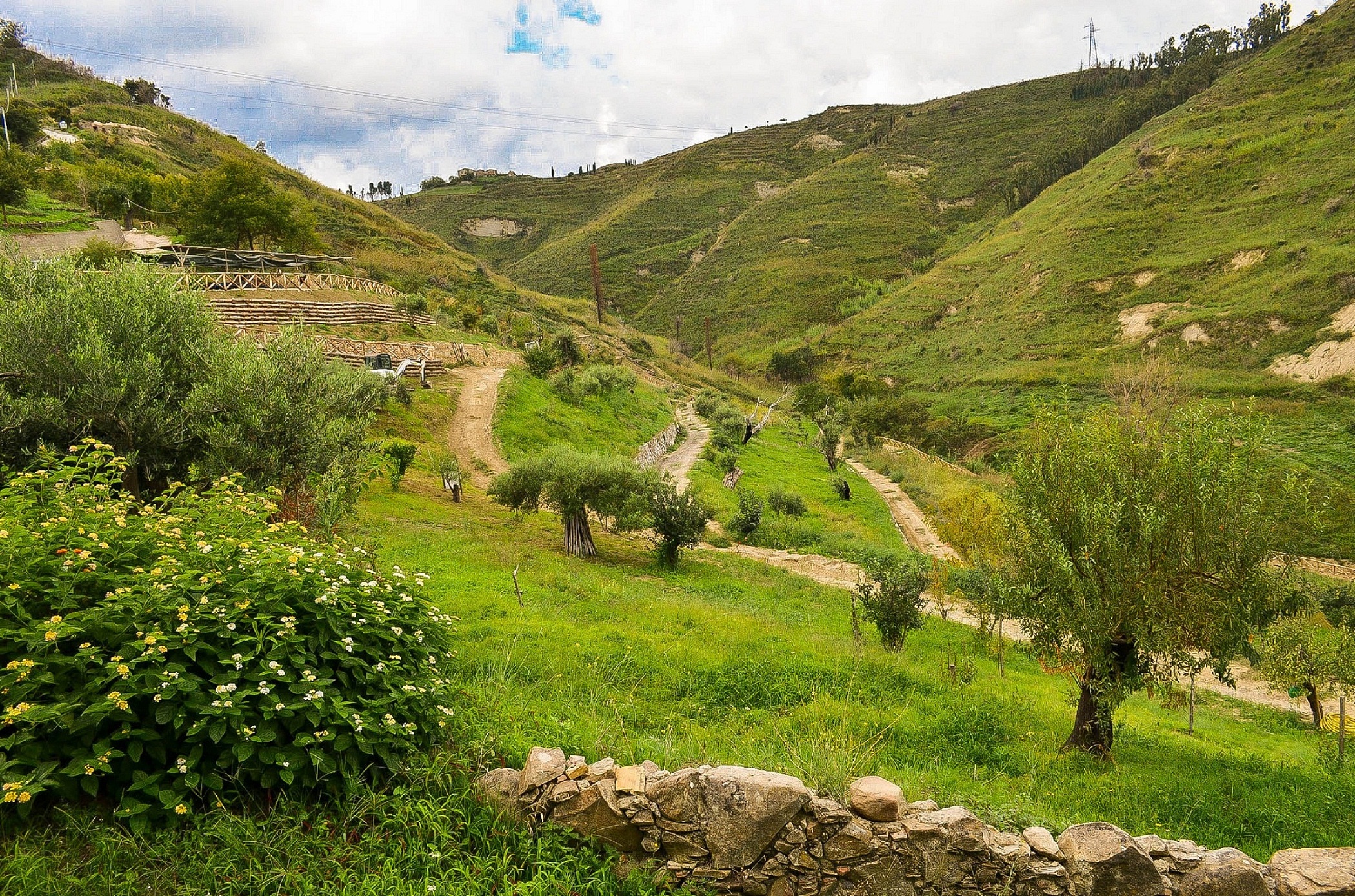 Paesaggio campagnolo di Maggio's photography