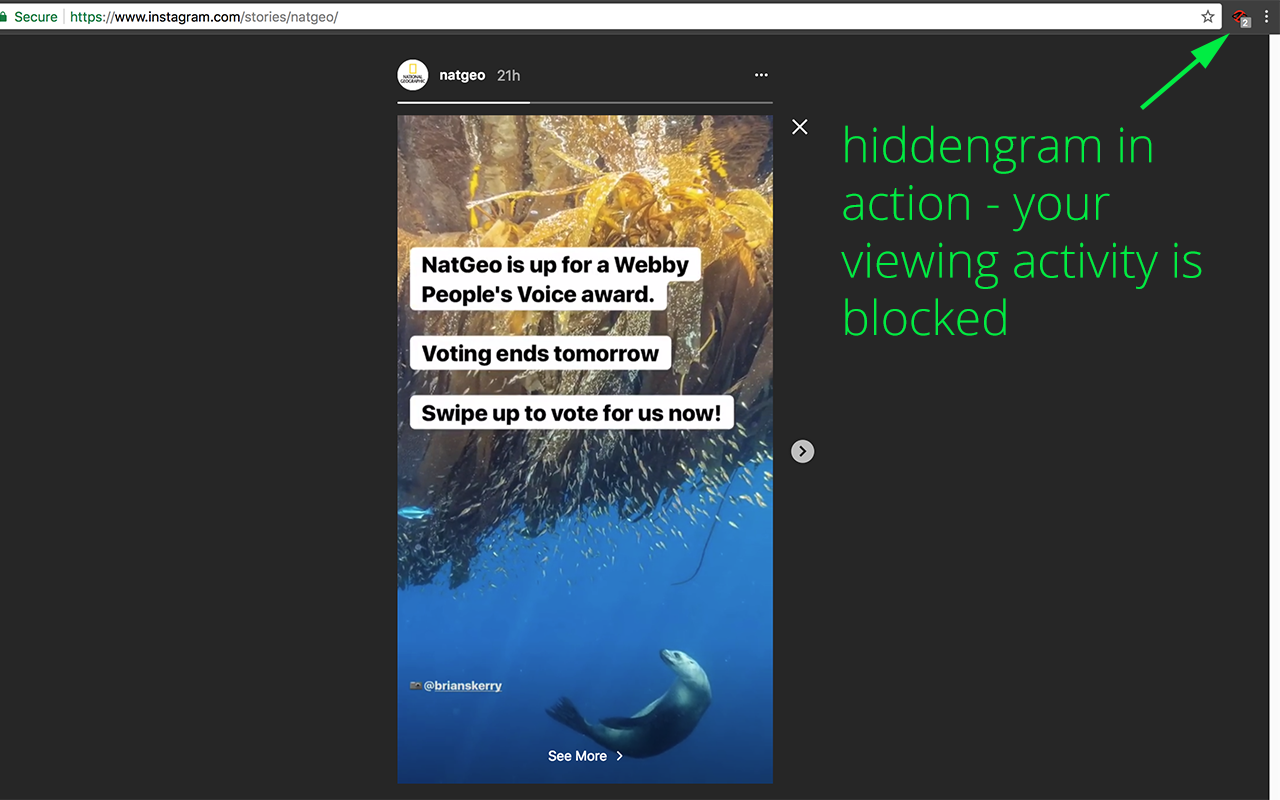 Hiddengram - view insta stories anonymously Preview image 1