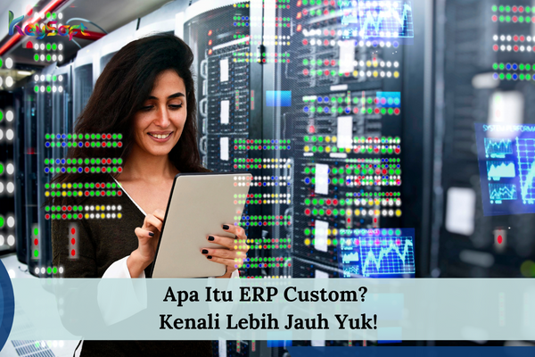 ERP Custom