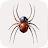 spiderNet VPN icon