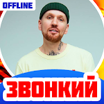 Cover Image of Download Звонкий Песни Без Интернета 1.7 APK