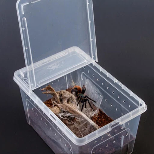Reptile Feeding Box Tortoise Habitat Side Ventilation Hole Habitat Insect Feeding Box Terrarium Tank Escape Proof Feedin