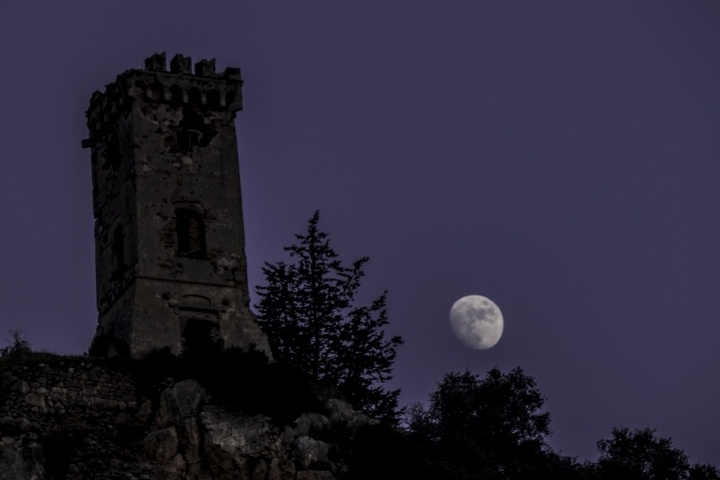 Luna per Te! di gattopisa