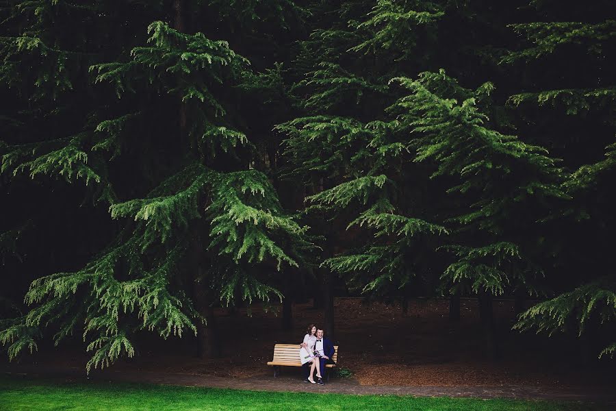 Fotógrafo de bodas Ivan Tulyakov (dreamphoto). Foto del 3 de mayo 2015