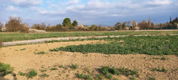 terrain à Canet (11)