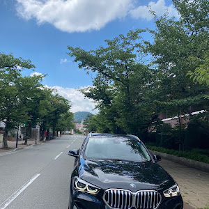 X1 xDrive 18d