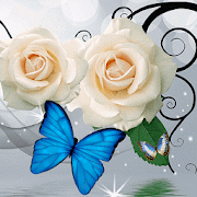 White Rose Butterfly 1.1.3 Icon