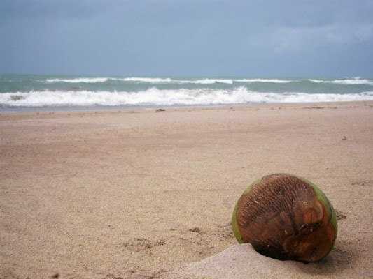 Mare d'inverno ai Tropici di lucy