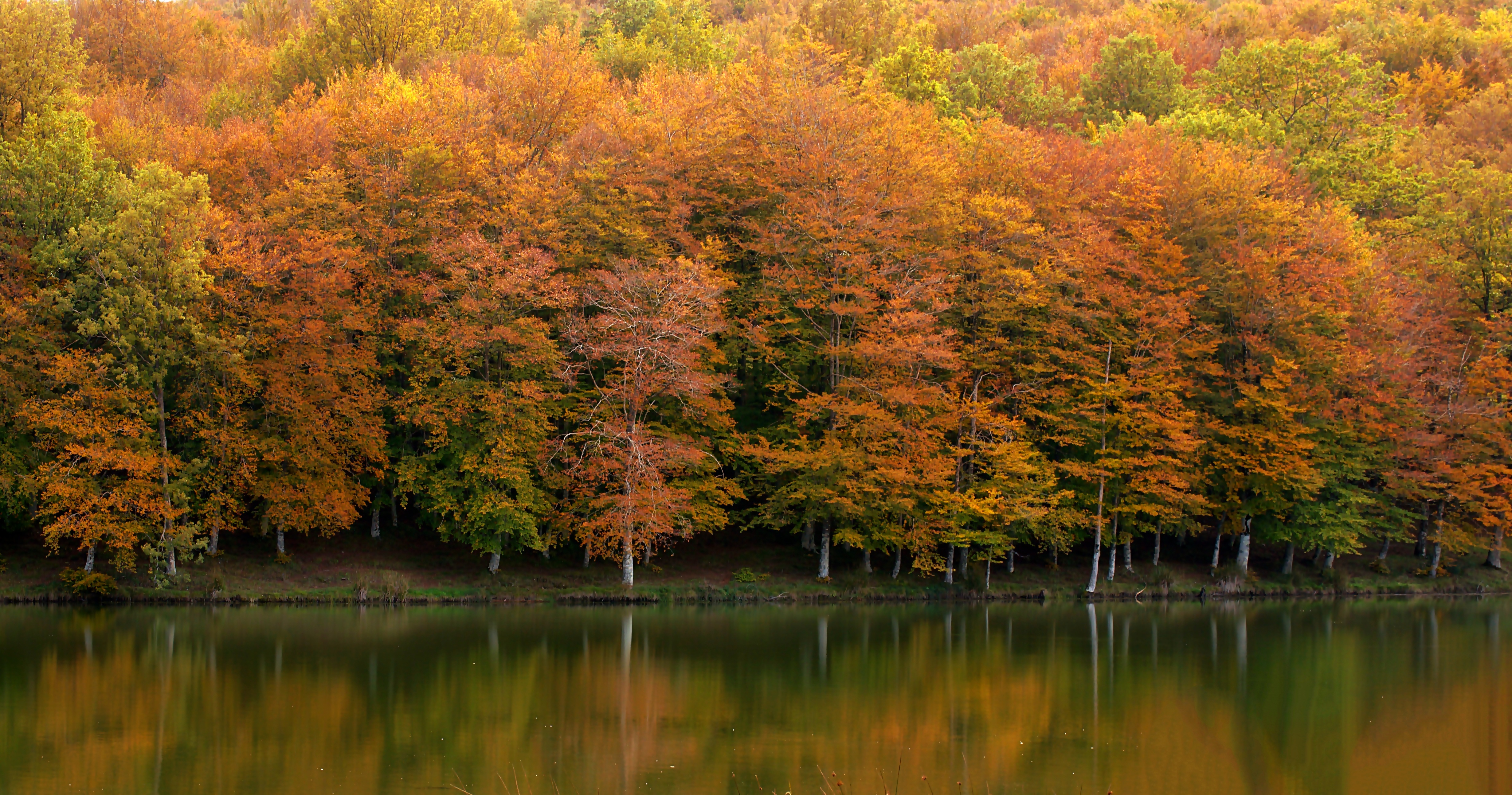 Riflessi d'autunno di AntoMarPh